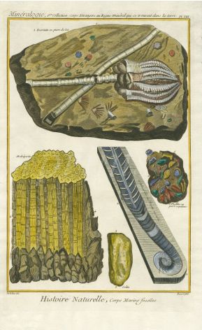 DIDEROT - DE LA RUE  - BERNARD: PL: VIII MARINE FOSSILS folio print 1768