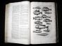 JONSTON & MERIAN - BOOK DETAIL