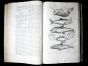 JONSTON & MERIAN - BOOK DETAIL