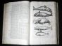 JONSTON & MERIAN - BOOK DETAIL