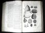 JONSTON & MERIAN - BOOK DETAIL