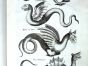 JONSTON & MERIAN - BOOK DETAIL