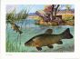 WAGNER - THE TENCH print