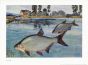 WAGNER - THE SILVER BREAM print