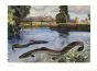 WANGER - THE EUROPEAN COMMON EEL print
