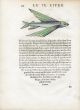 RONDELET FISH PRINT - THE FLYING FISH - WOODCUT 1558