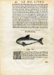 RONDELT MARINE LIFE - PORPOISE PRINT - WOODCUT 1558