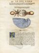 RONDELT MARINE LIFE - ARGONAUT OCTOPUS PAPER NAUTILUS PRINT - WOODCUT 1558