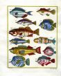 PLATE TWENTY SEVEN: LAMARCK'S ANGELFISH, WRASSE, BANNERFISH, GUDGEON OF THE RIQUE print
