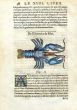RONDELET MARINE LIFE  - THE LOBSTER PRINT - WOODCUT 1558