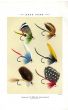 ORVIS - BASS FLIES plate (AA) fishing print