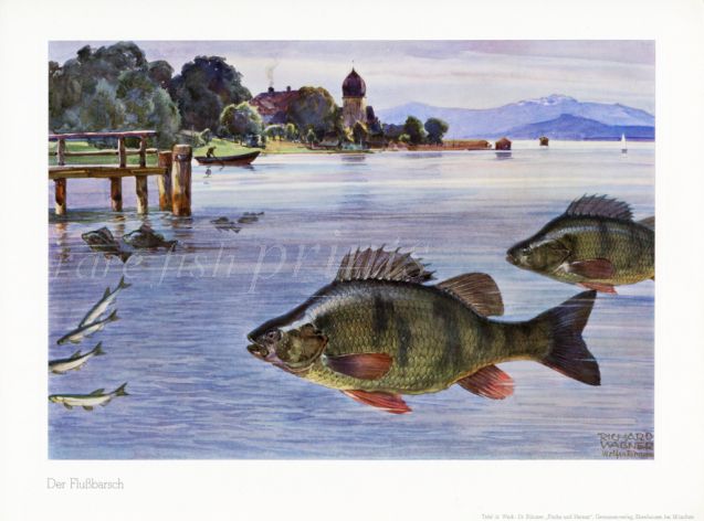 WAGNER - THE PERCH print