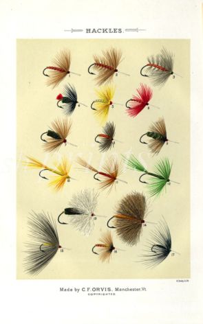 ORVIS - HACKLES - TROUT FLIES plate (A) fishing print
