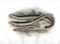 THE LAMPREY print