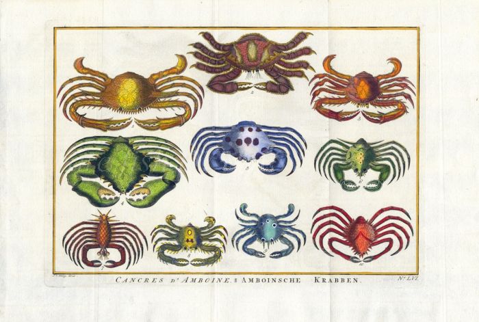 SCHLEY/PREVOST: CANCRES D' AMBOINE - CRABS print 1763