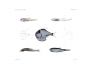LIGHTFISH, BRISTLEMOUTH, HATCHET & LANTERNFISH  - Garman deep sea fish print