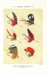 ORVIS - LAKE FLIES plate (J) fishing print