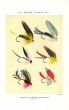 ORVIS - BASS FLIES plate (Z) fishing print