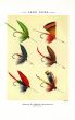 ORVIS - LAKE FLIES plate (F) fishing print