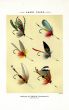 ORVIS - LAKE FLIES plate (E) fishing print