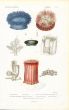 CUVIER: ZOOPHYTES: Pl. 62 - SEA ANEMONE, SEA MUSHROOM, SEA MAT print 1817 - 1849