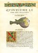 RONDELET FISH PRINT - THE PUFFERFISH - WOODCUT 1558