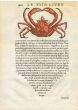 RONDELET  MARINE LIFE - THE SPIDER CRAB PRINT -  WOODCUT 1558