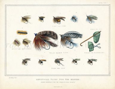 ARTIFICIAL FLIES FOR THE MONTHS - JUNE, JULY, AUGUST  SEPTEMBER, WELSH SALMON FLIES - fishing print 1870