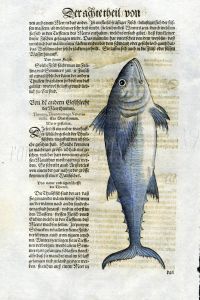 1598 GESNER FISH PRINT - THE BLUEFIN TUNA