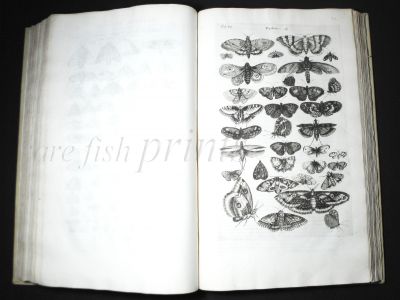JONSTON & MERIAN - BOOK DETAIL