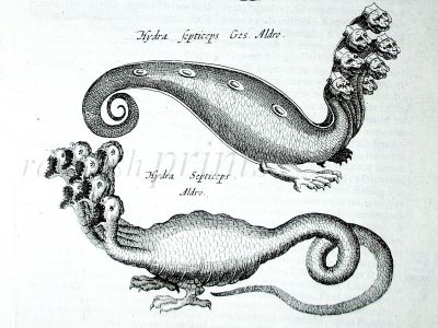 JONSTON & MERIAN - BOOK DETAIL