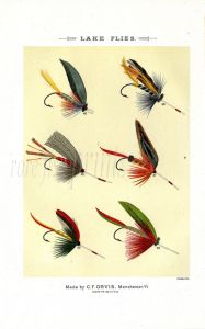ORVIS - LAKE FLIES plate (G) fishing print