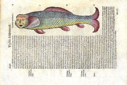 MONSTERS - THE MONSTROUS FISH WITH A HUMAN FACE  - CARP print