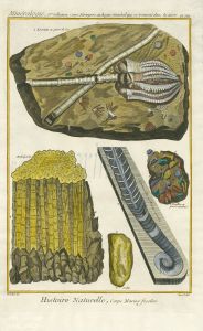 DIDEROT - DE LA RUE - BERNARD: PL: VIII MARINE FOSSILS folio print 1768