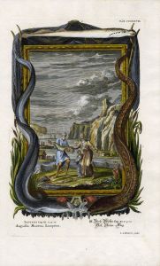 JOHANN JAKOB SCHEUCHZER - SEA FISHING - "DISPLAYING THE CATCH" RARE FOLIO ENGRAVING 1732 - 1735