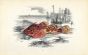 THE BUBALIS BULLHEAD fish print