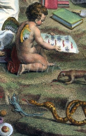 cu. detail.