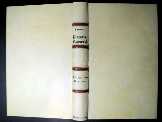 JONSTON & MERIAN - BOOK DETAIL