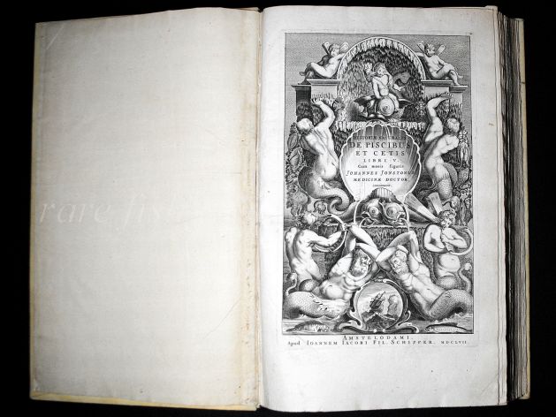 "HISTORIA NATURALIS''  JONSTON & MERIAN 1657