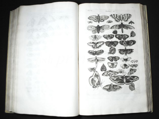 JONSTON & MERIAN - BOOK DETAIL
