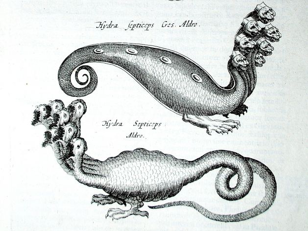 JONSTON & MERIAN - BOOK DETAIL