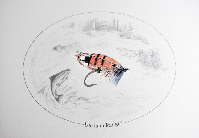 THE RISTIGOUCHE AND ITS SALMON FISHING - Photo details 2.