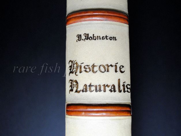 JONSTON & MERIAN - BOOK DETAIL