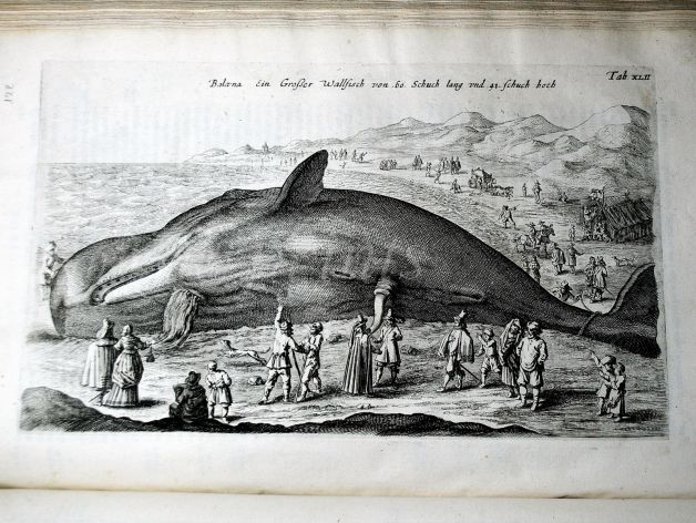 JONSTON & MERIAN - BOOK DETAIL