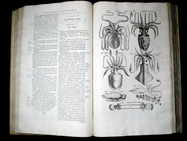 JONSTON & MERIAN - BOOK DETAIL