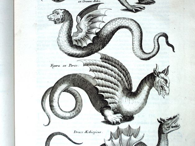 JONSTON & MERIAN - BOOK DETAIL