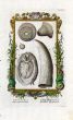 SCHEUCHZER WHALE TOOTH & MARINE LIFE RARE COPPERPLATE ENGRAVING 1731